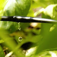 our Pompano Beach irrigation repair can install and customize a micro irrigation system