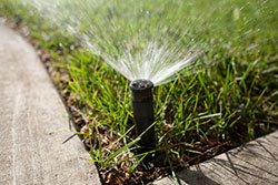 Close up of a sprinkler pop up head