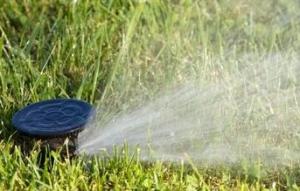 with the help of our Pompano Beach irrigation repair services this system is in perfect shape